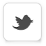 Follow Coogee on Twitter